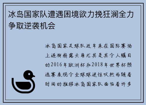 冰岛国家队遭遇困境欲力挽狂澜全力争取逆袭机会