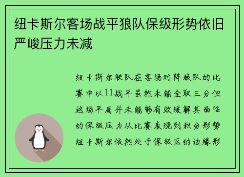 纽卡斯尔客场战平狼队保级形势依旧严峻压力未减